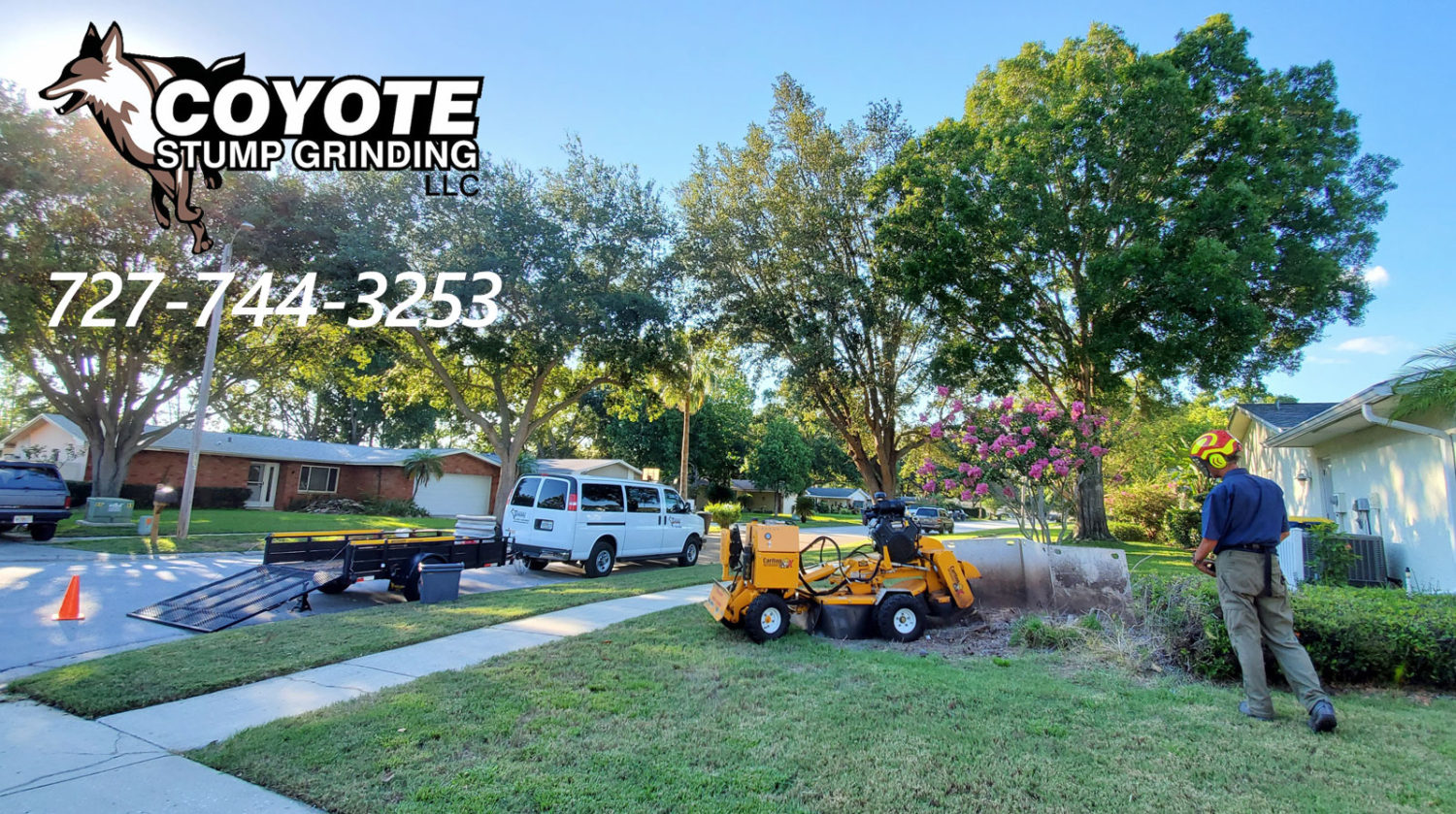 Coyote Stump Grinding, LLC